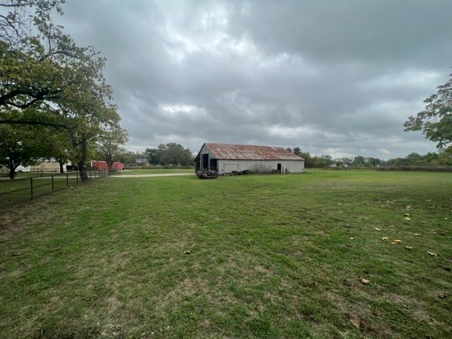 Picture 5