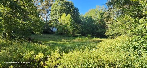 Unrestricted Land Near Camden, TN