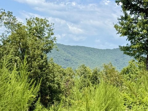Vacant Lot, Brasstown, NC