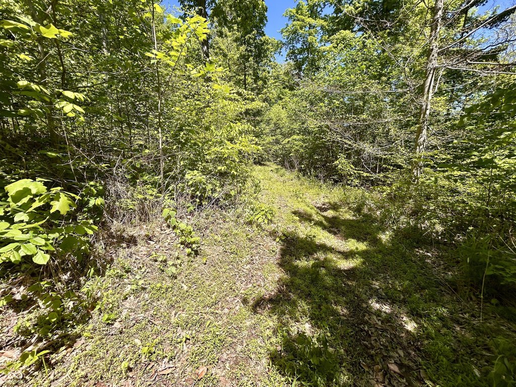 Picture 18