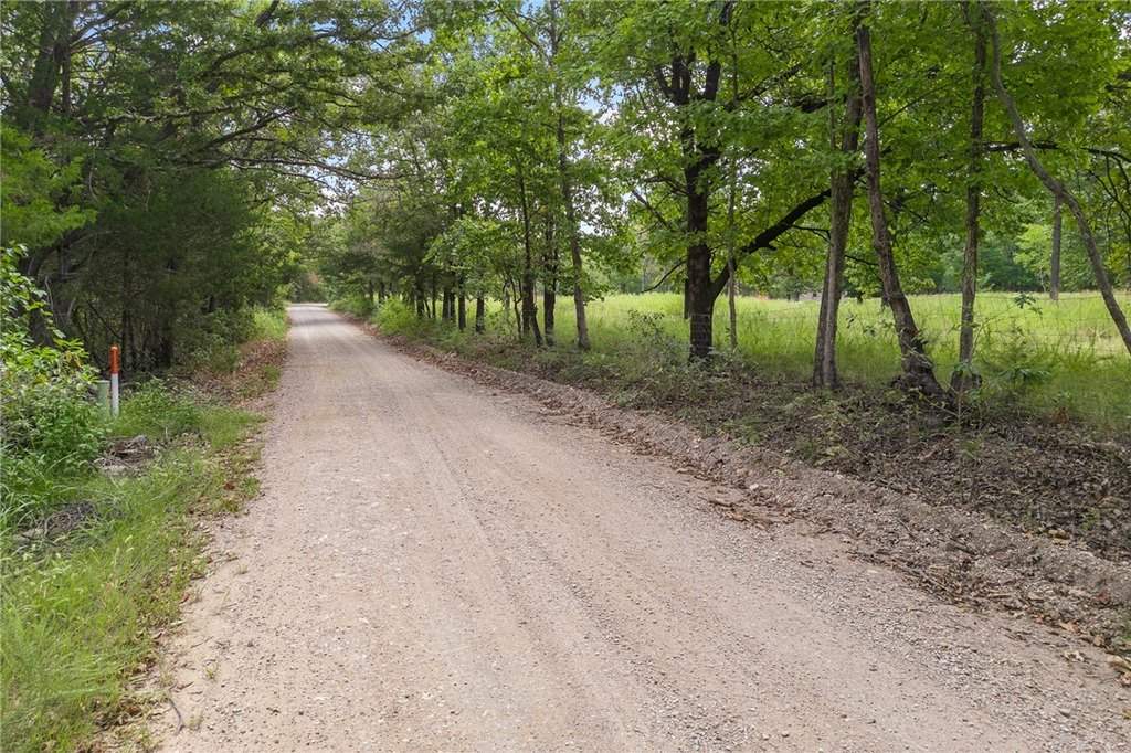 Picture 15