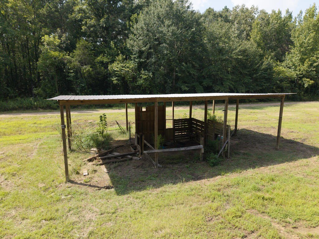 Picture 78