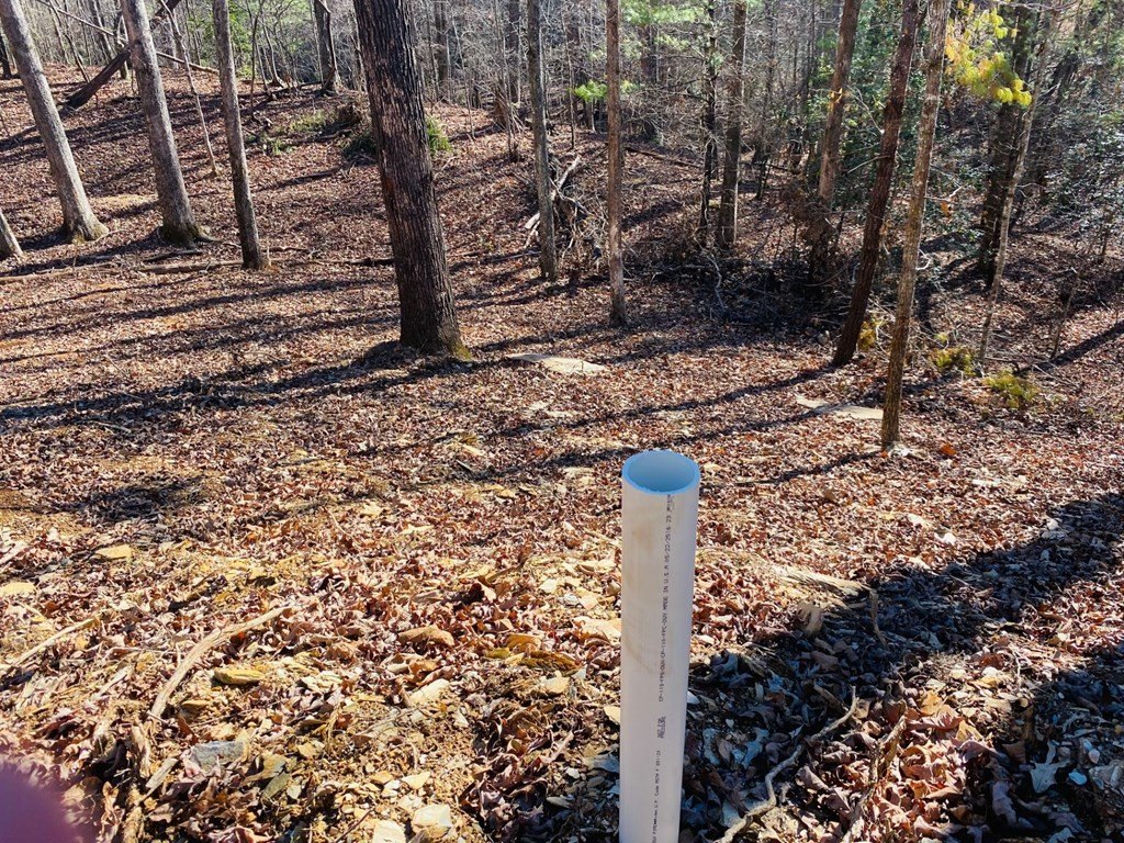 Picture 11