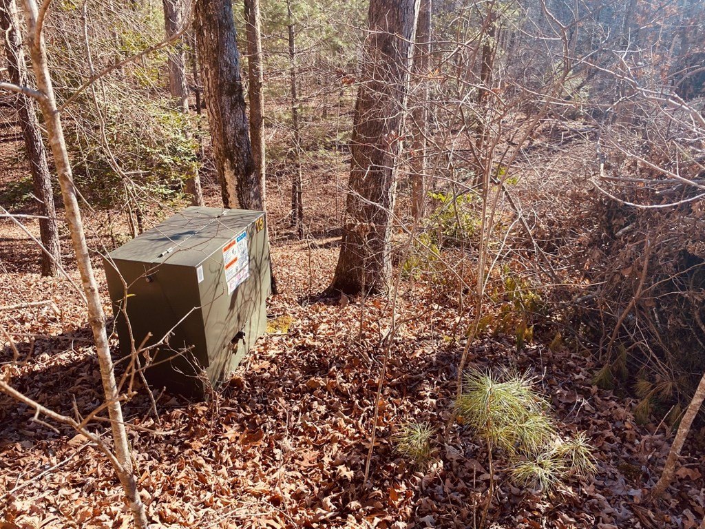 Picture 14