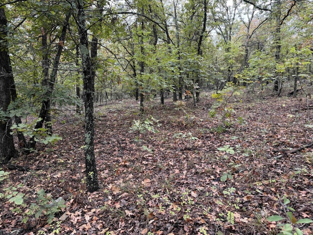 Picture 41