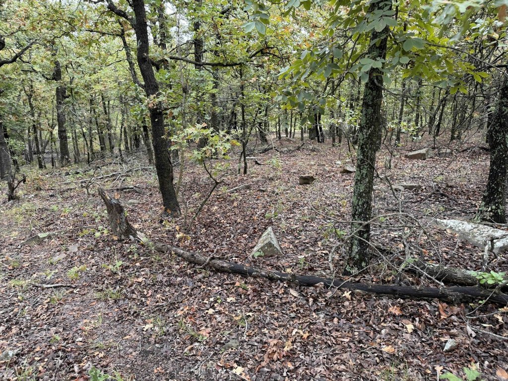 Picture 47