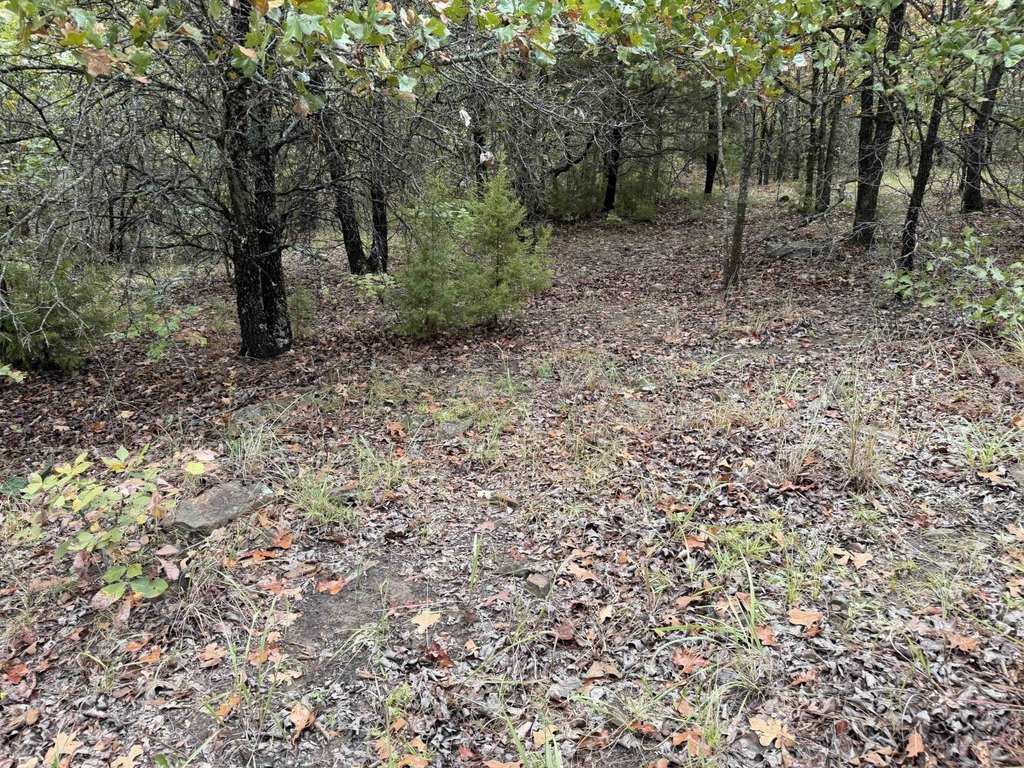 Picture 32