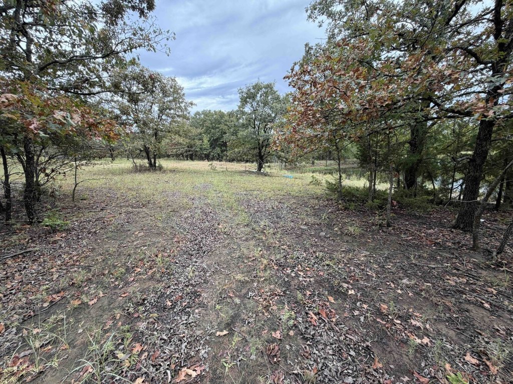 Picture 24