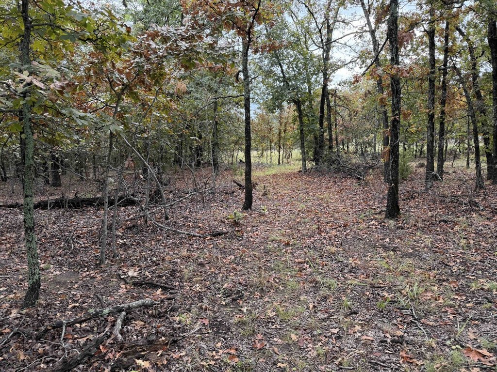 Picture 12