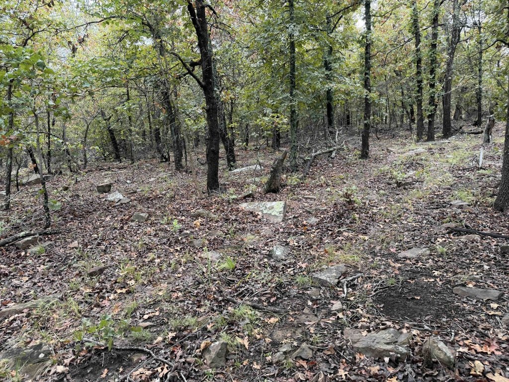 Picture 43
