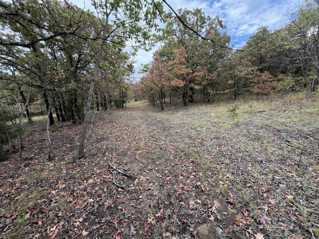 Picture 25