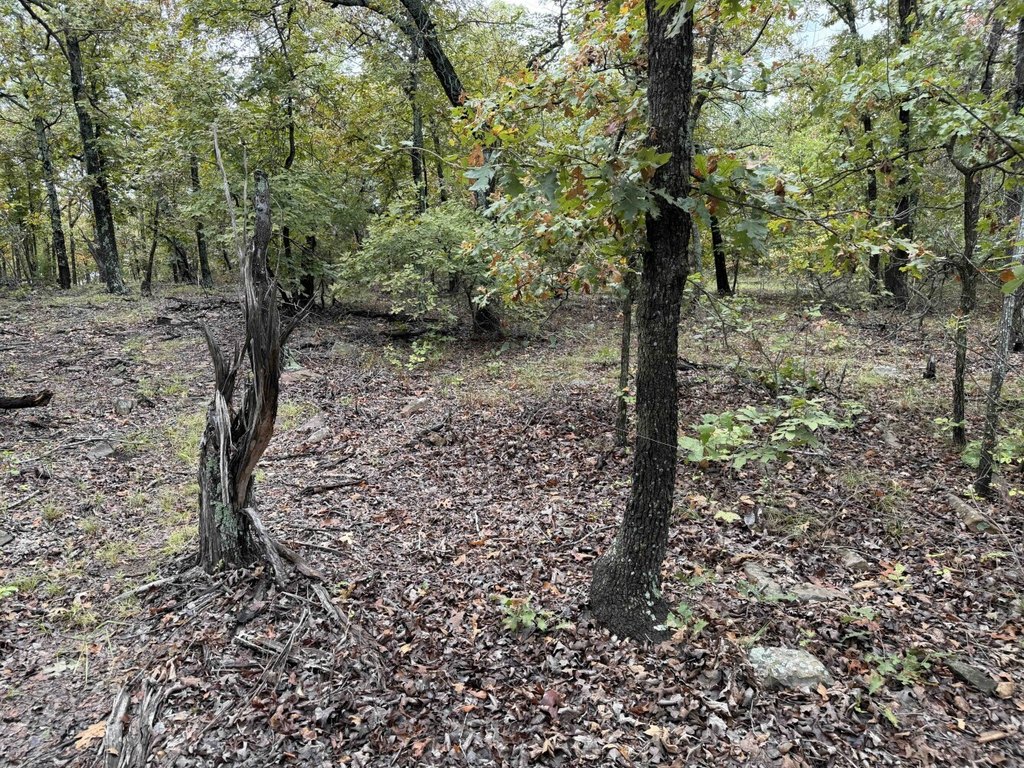 Picture 45
