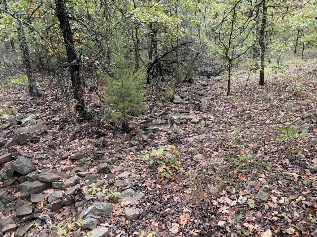 Picture 36