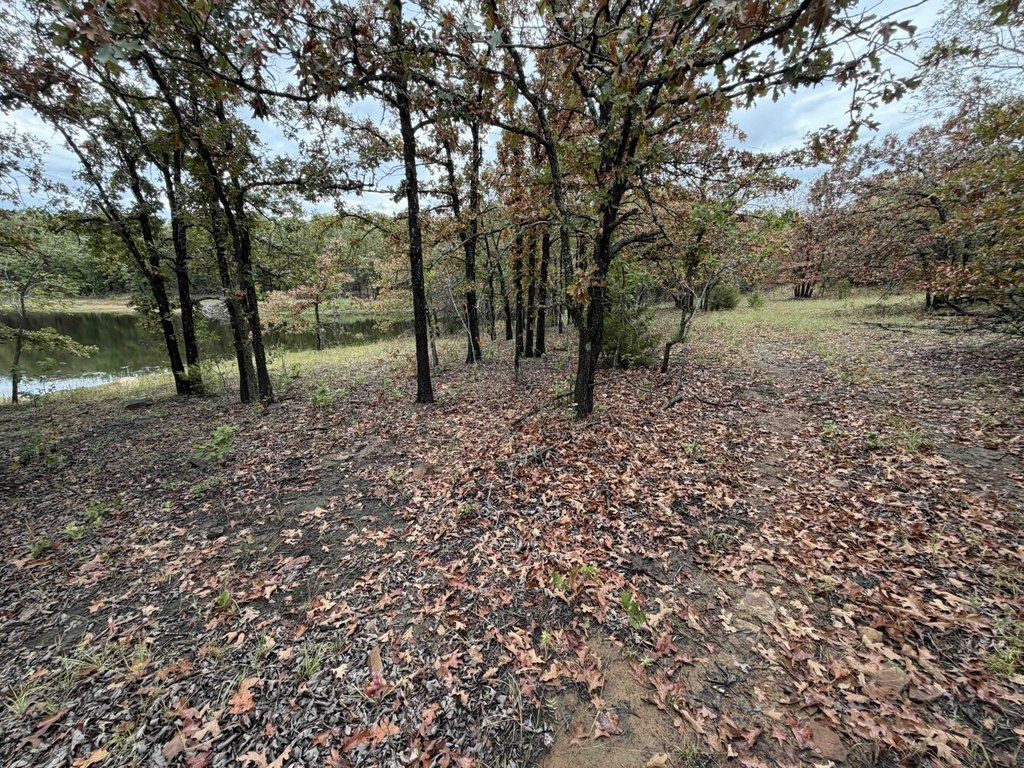 Picture 26