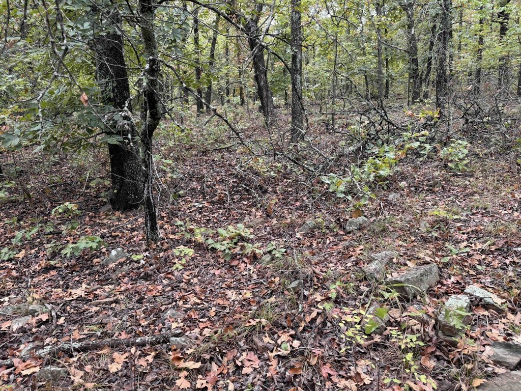 Picture 38