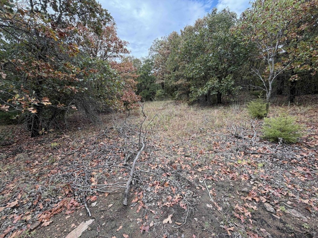 Picture 29