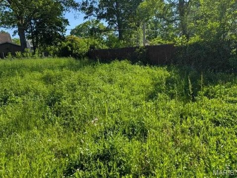 Residential Lot in Granite City