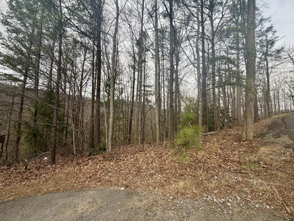 Picture 5