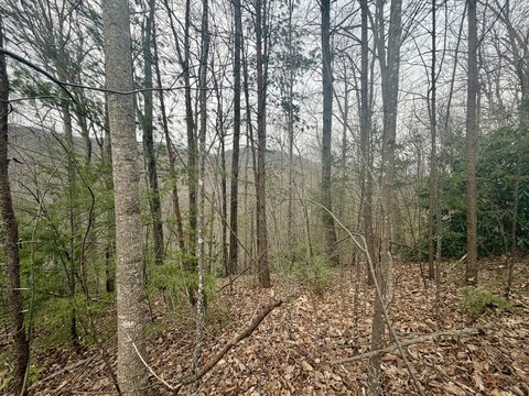 Land, Gatlinburg, TN