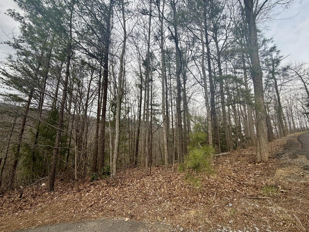 Picture 2