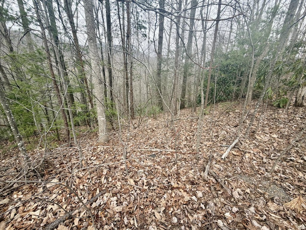 Picture 3