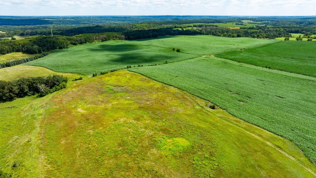 Picture 131