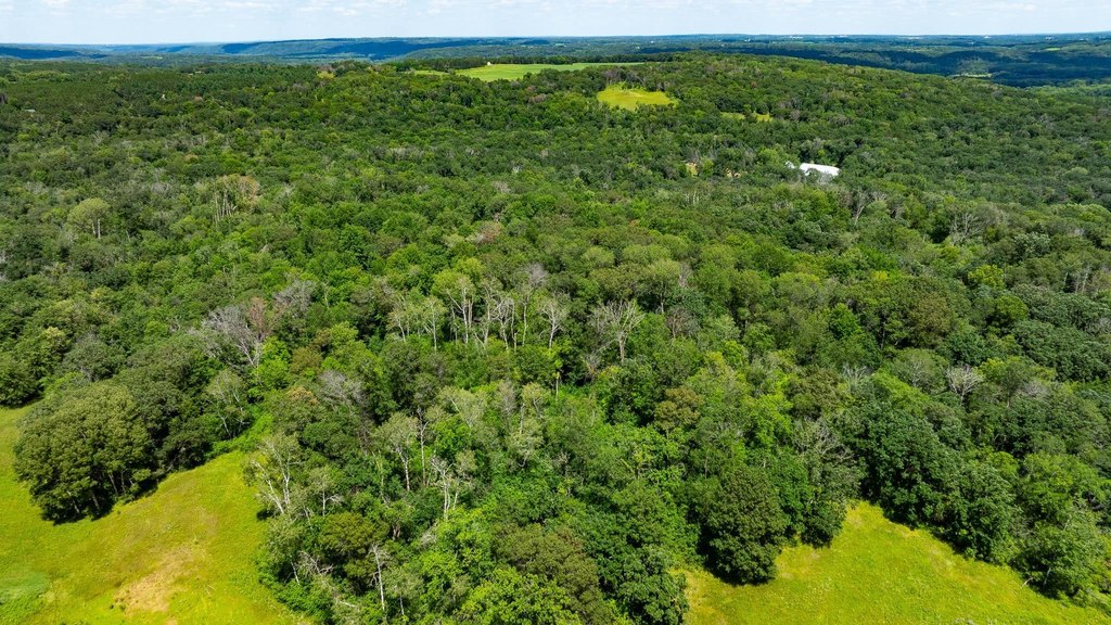 Picture 114
