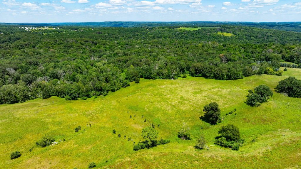 Picture 89