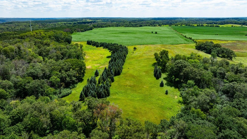 Picture 44
