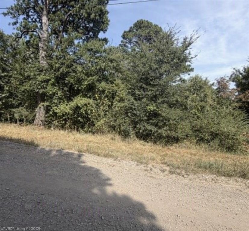 Picture 2