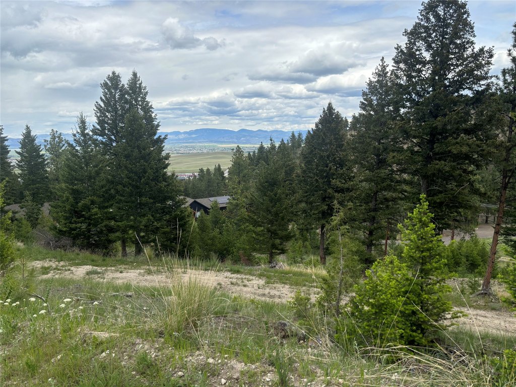 Picture 11