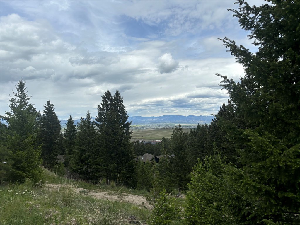 Picture 14