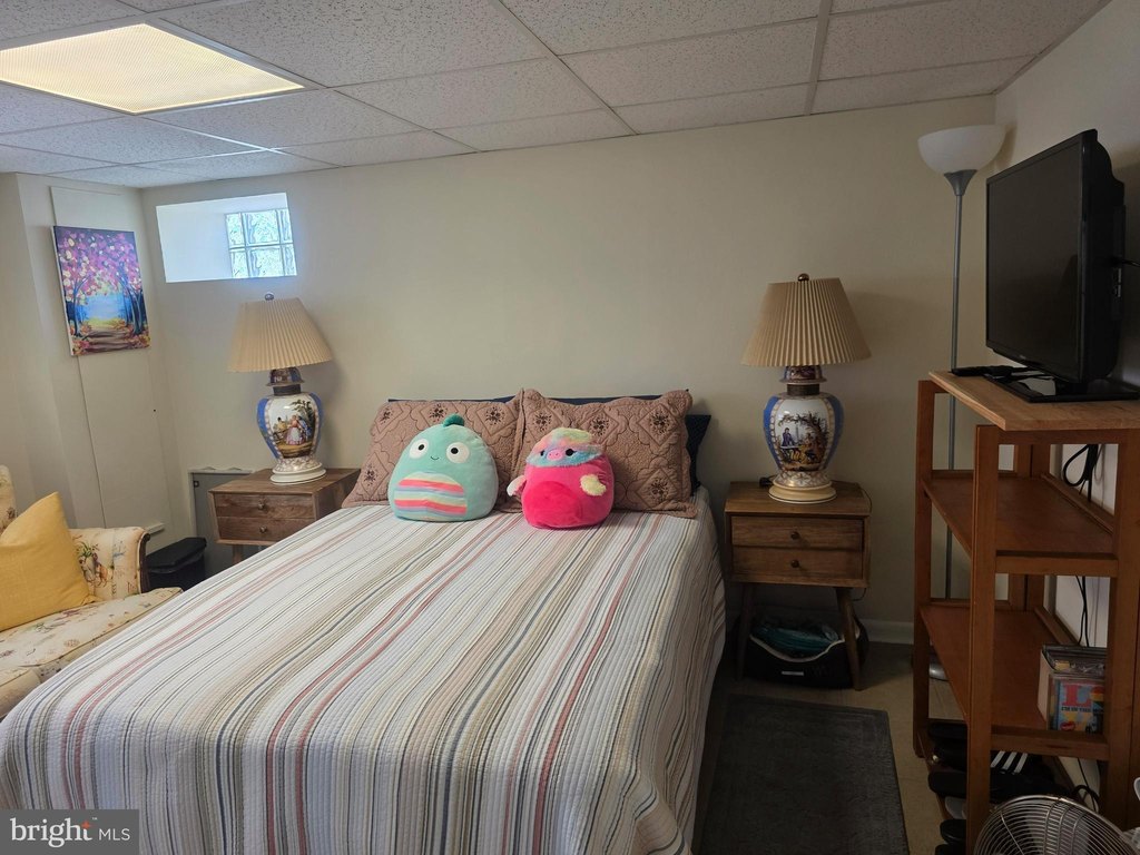 Picture 19