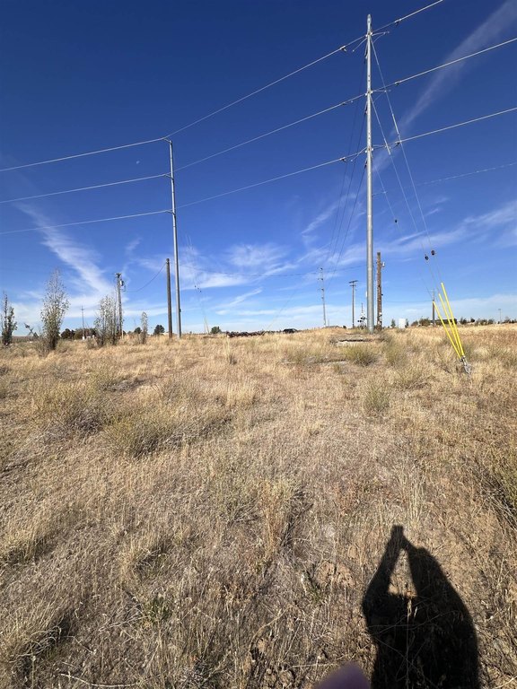 Picture 8