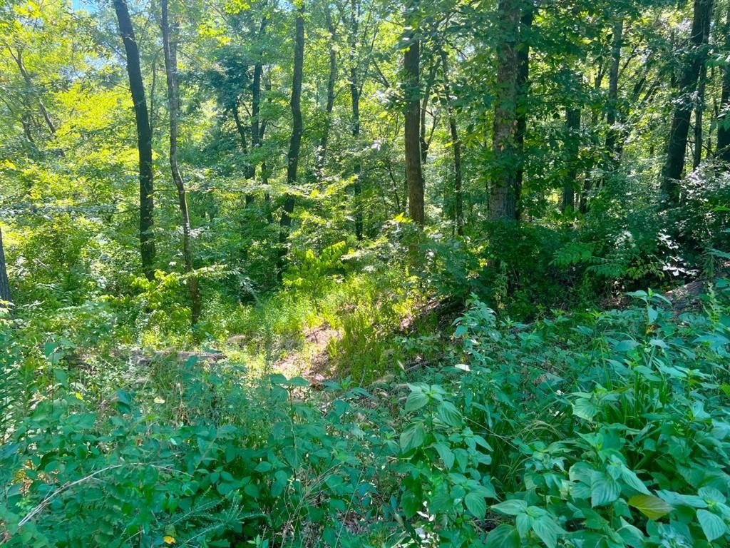 Picture 8