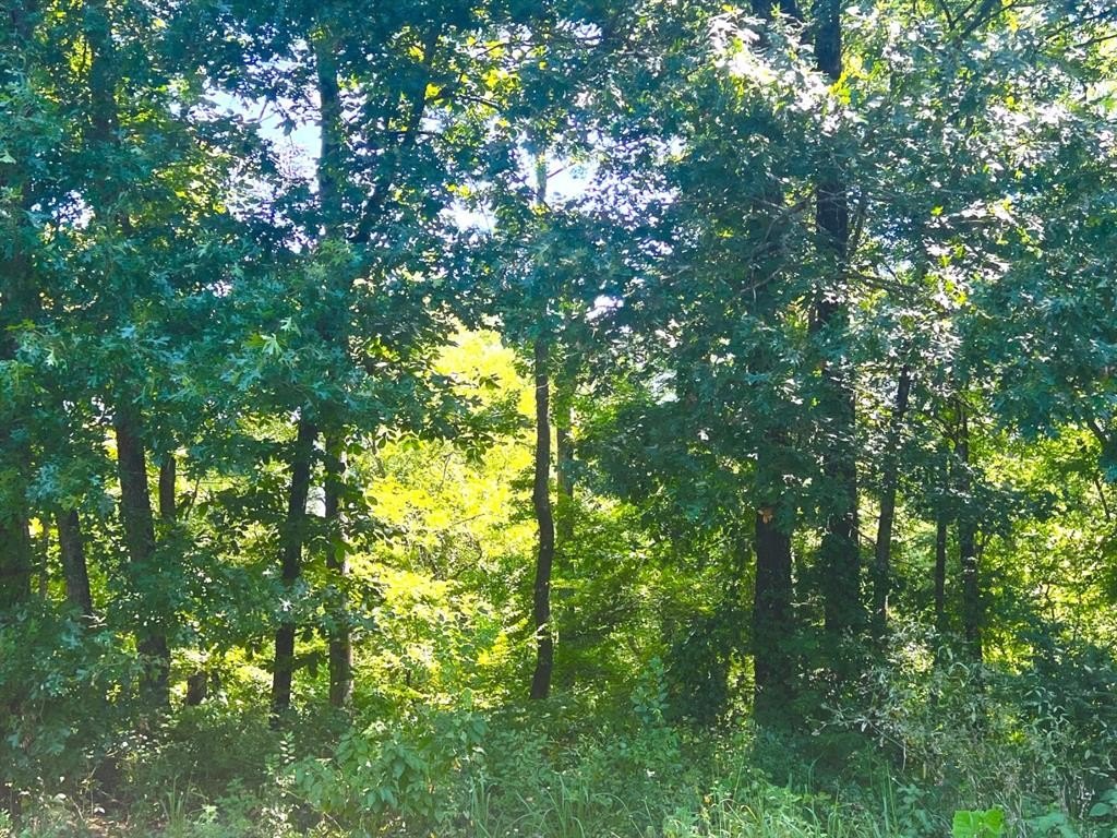 Picture 4