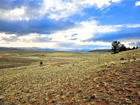 Meadow Land with Mountain Views