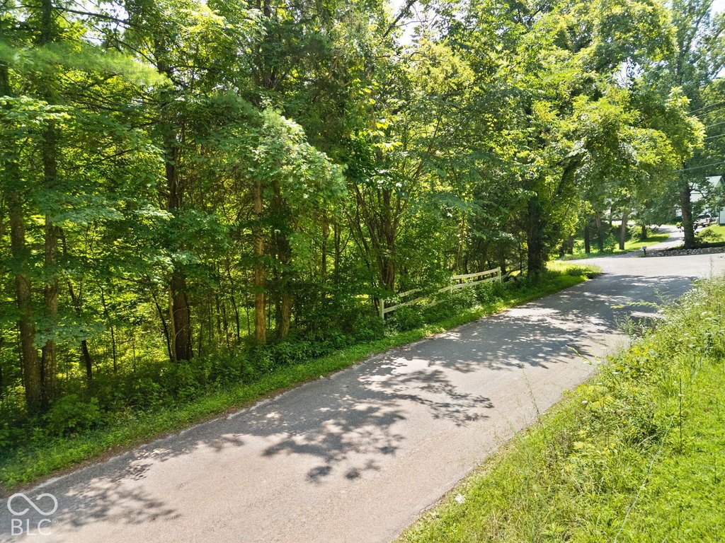 Picture 11