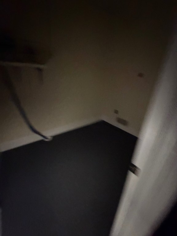 Picture 51