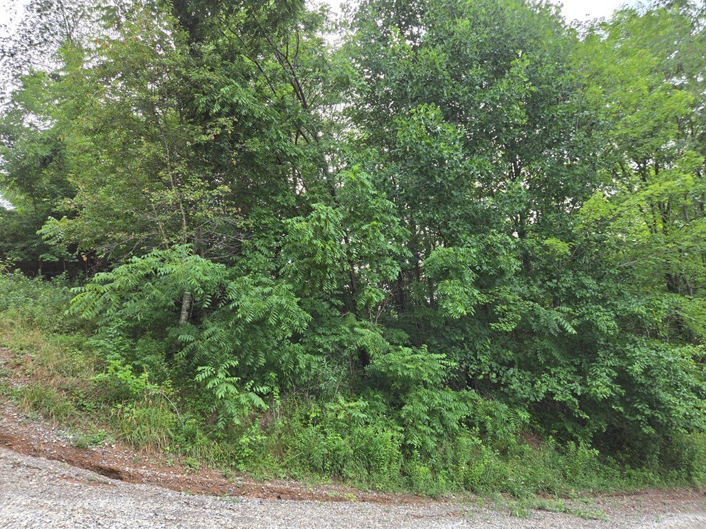 Picture 12