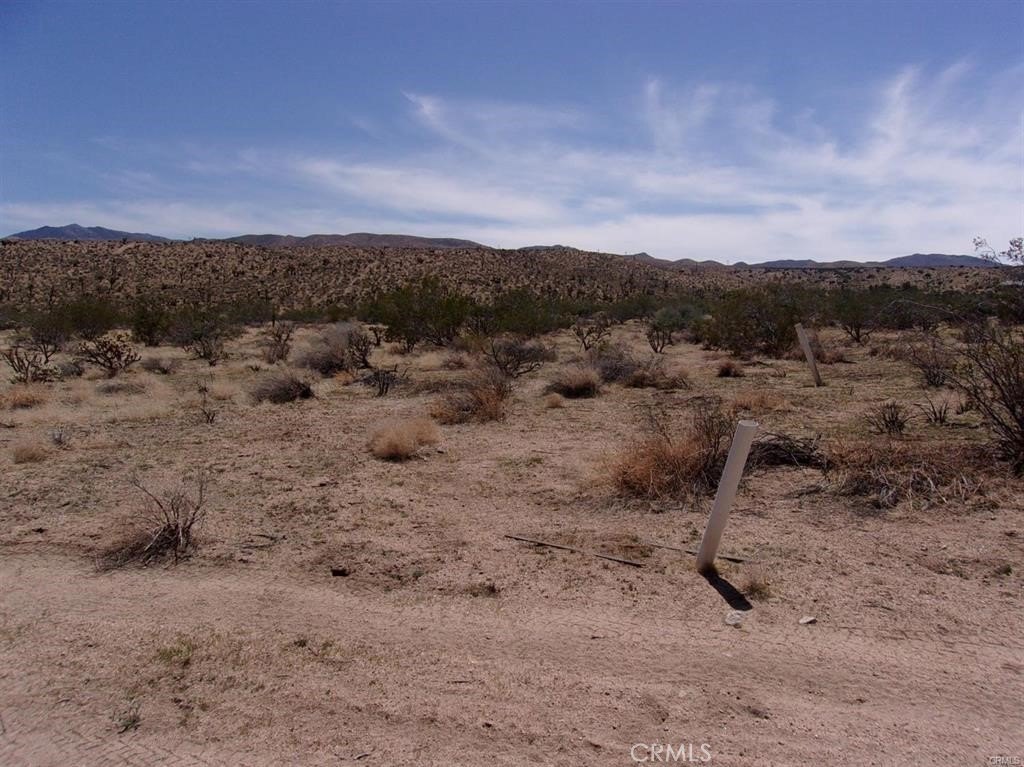 Picture 4