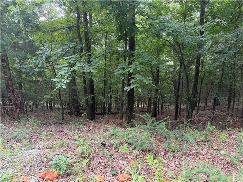 Land, Goshen, AR