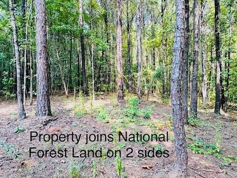 Lafayette County Land Near Forest
