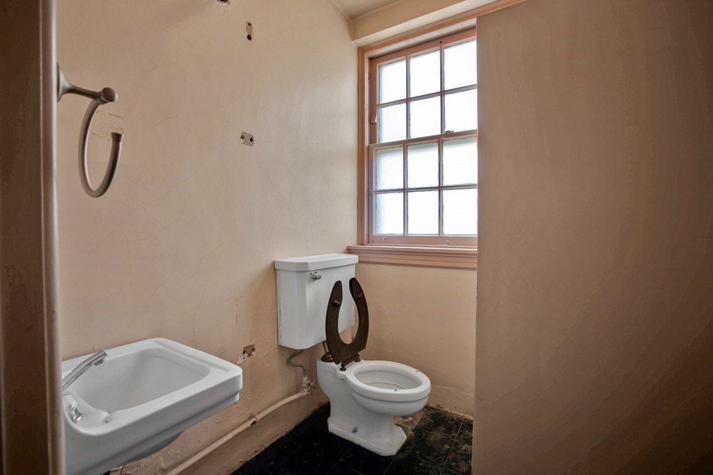 Picture 29