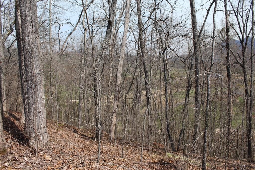 Hayesville, NC Vacant Lot