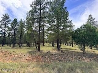 Land, Happy Jack, AZ