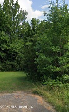 Land, Ecru, MS