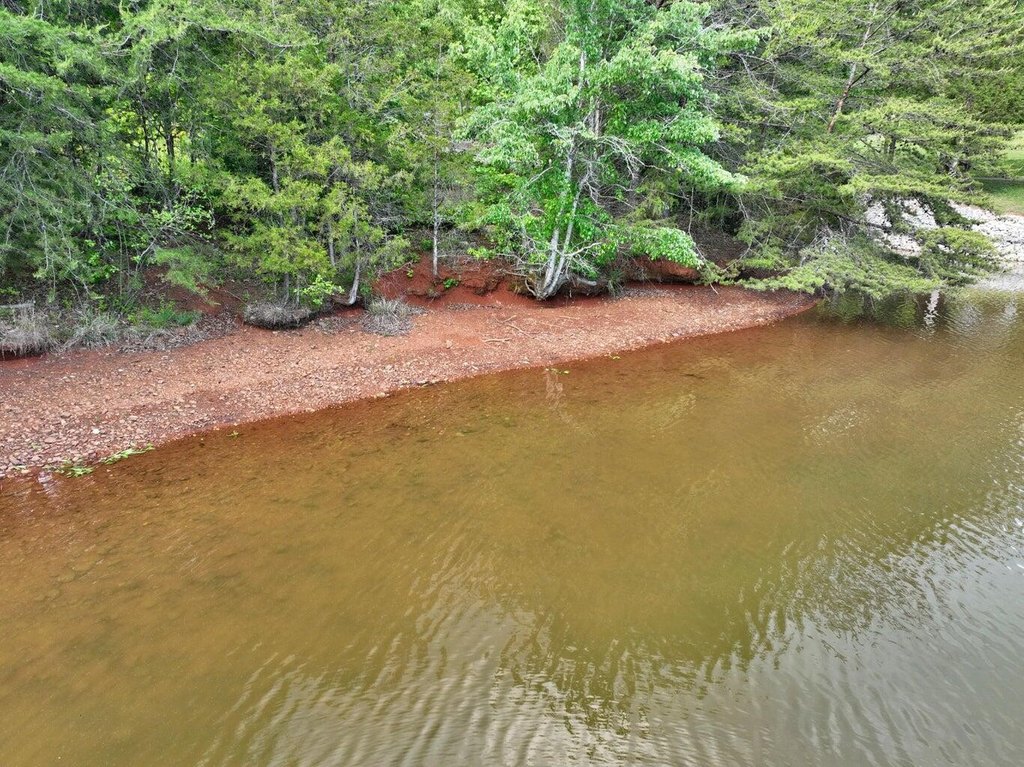 Picture 40