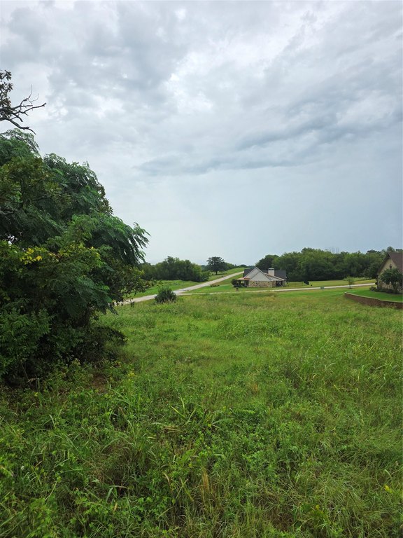 Picture 20