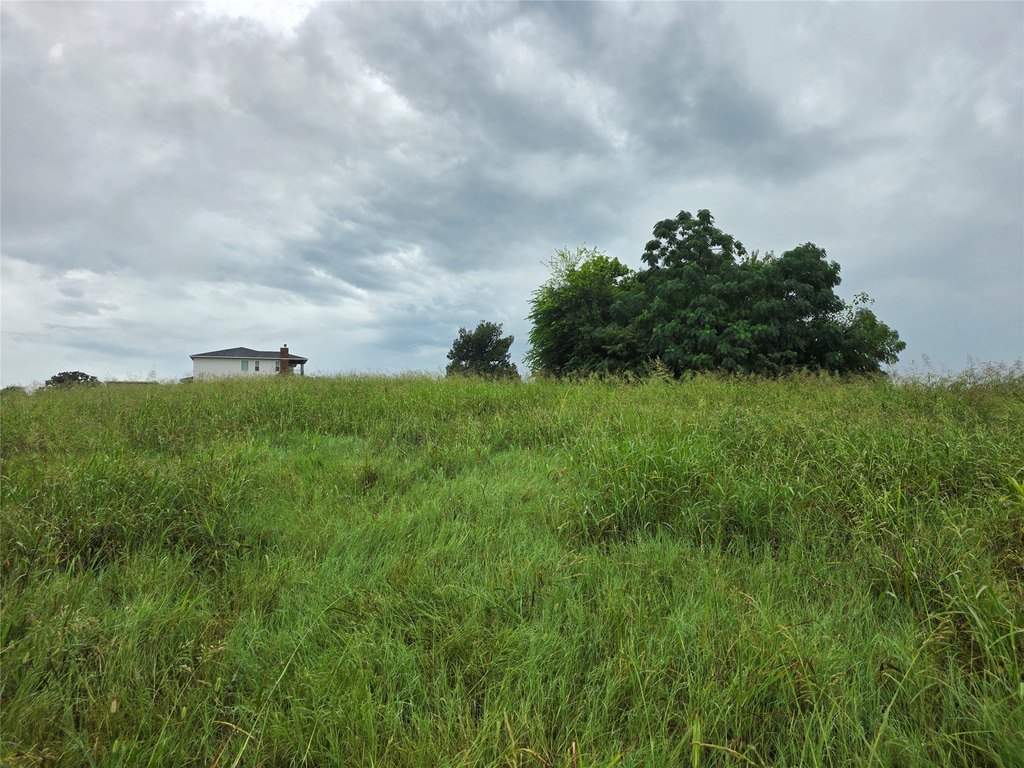 Picture 23